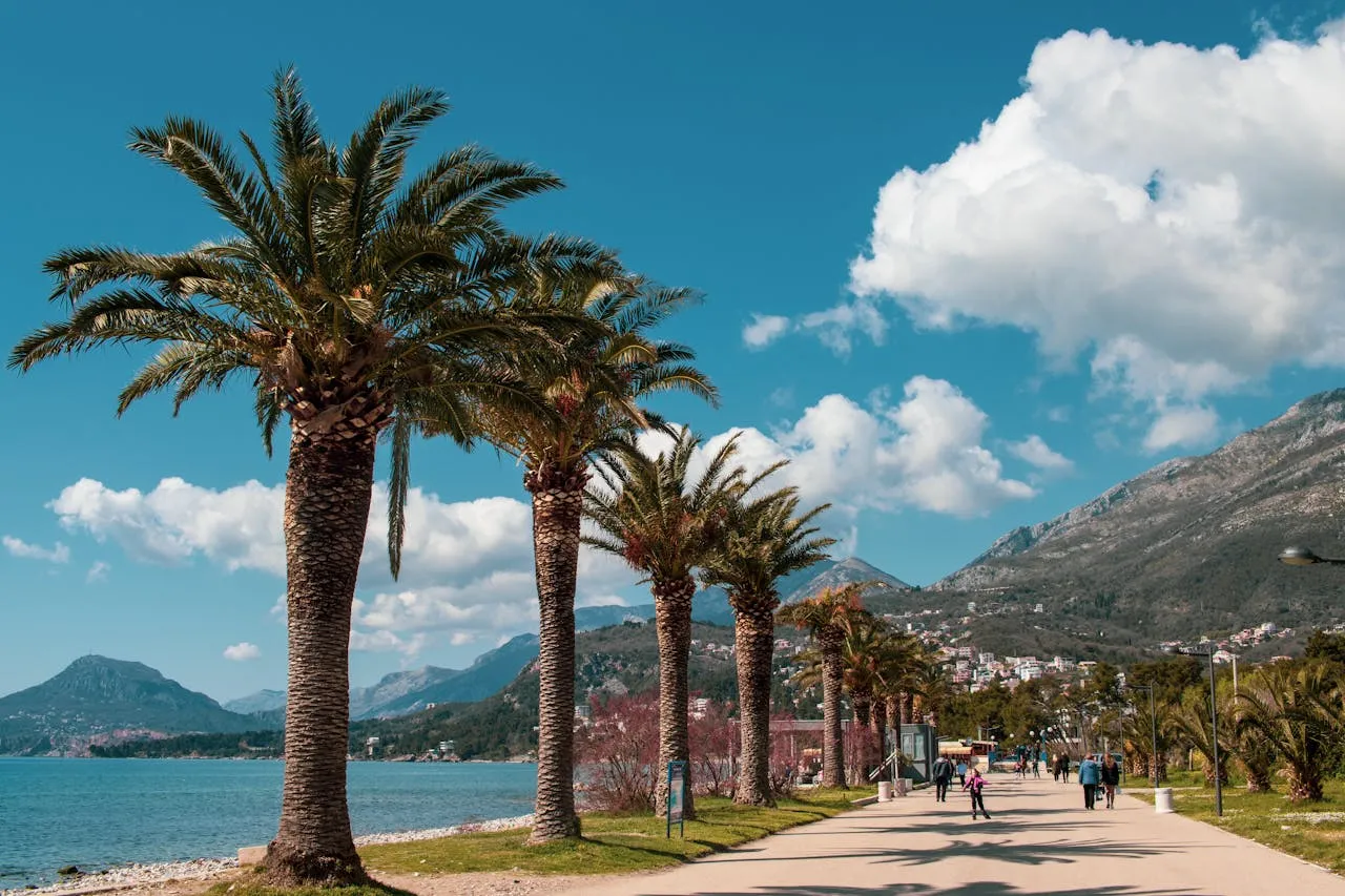 Bar town and port on the Montenegrin coast