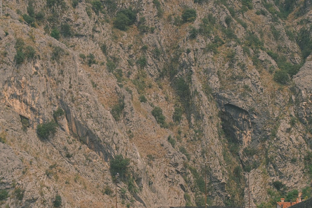 Crumbling walls of Sas Fortress rising above the Bojana wetlands