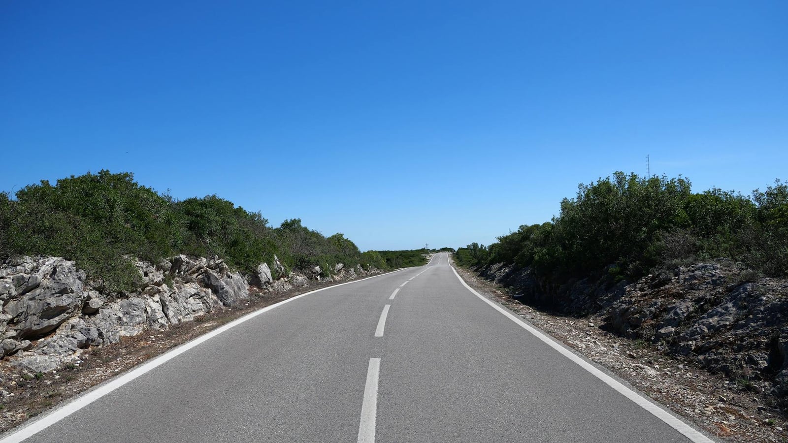 Empty asphalt road between scrub and rocks